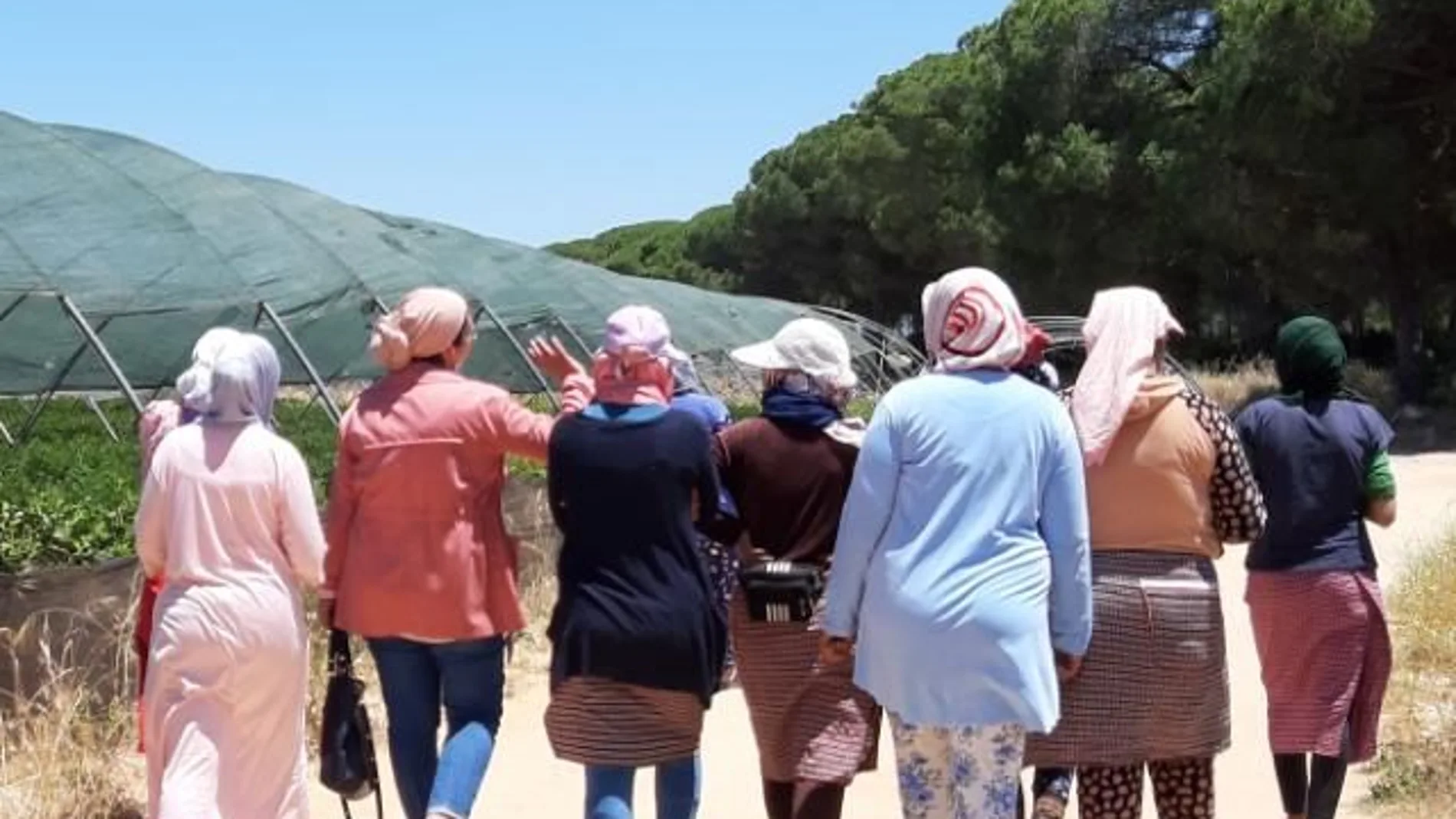 Imagen de espalda de un grupo de las mujeres marroquíes