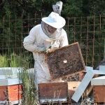 El apicultor Miguel González García junto a algunas de sus colmenas instaladas en Celada de Robledecedo (Palencia)