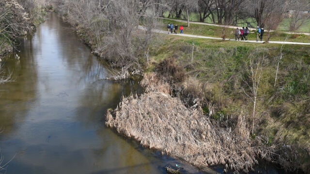 Varias personas caminan durante la marcha 'Por un río para una ciudad y sus barrios'