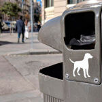 Bolsas para excrementos de perros en Madrid