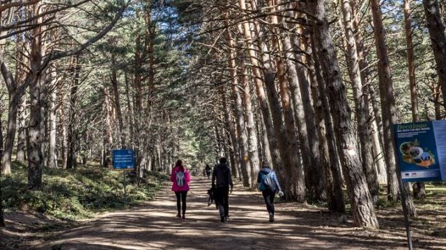 Naturaleza en Cercedilla