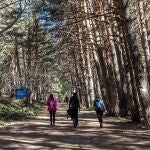 Naturaleza en Cercedilla