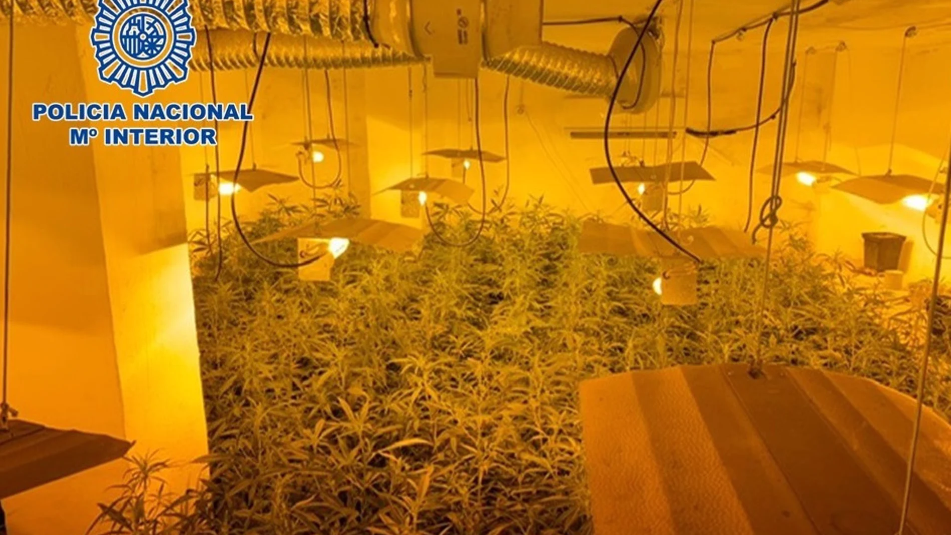 Vista de la marihuana incautada en una operación policial en Granada