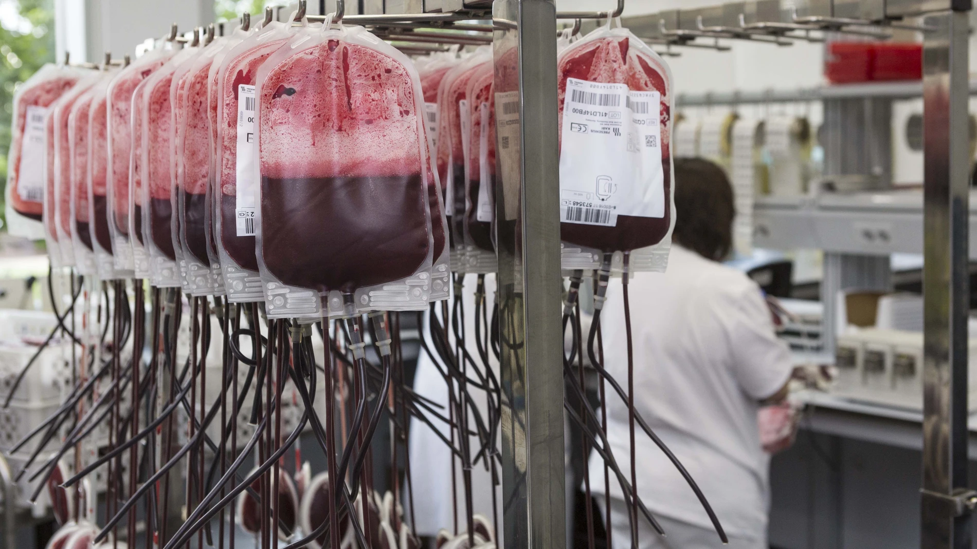 El Centro de Transfusión celebrará dos maratones para reforzar las reservas de sangre que descienden en Navidad