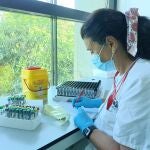 Laboratorio, análisis, viruela del mono