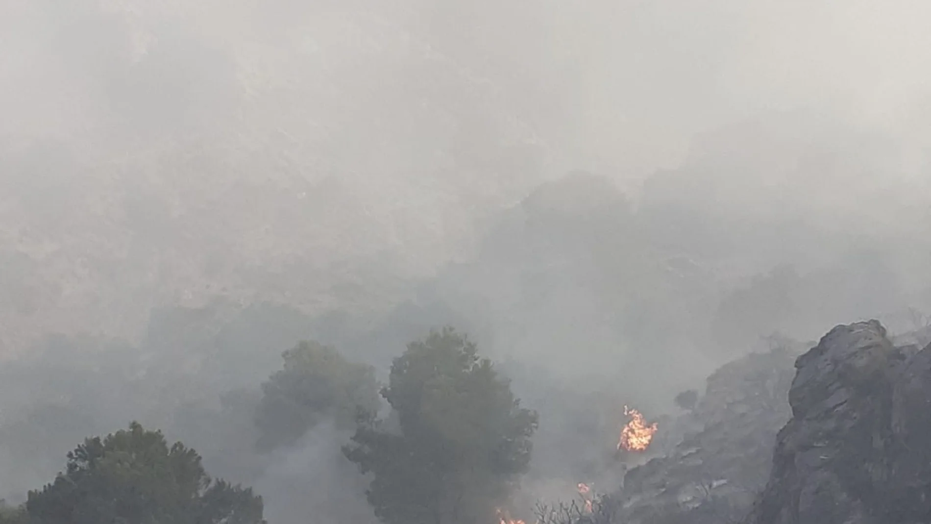El fuego se declaró alrededor de las 14:40 horas