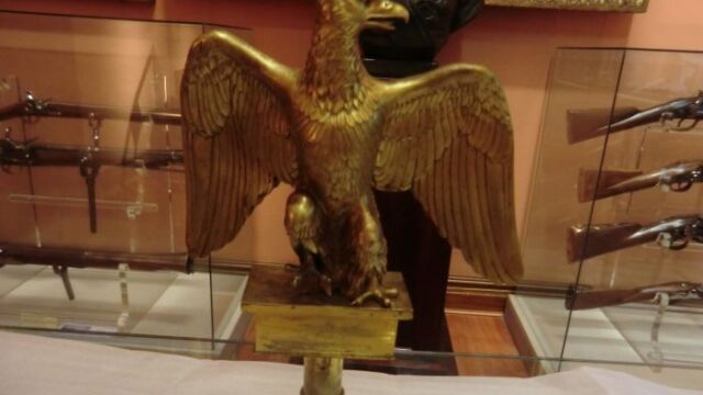 Águila imperial de Napoleón