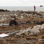 Vista de la playa de Guadalmar llena de cañas y escombros arrastrados por las fuertes lluvias