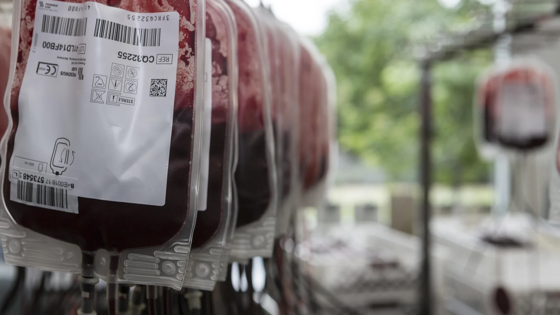 Bolsas en el centro de donaciones de sangre