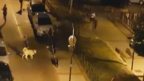 Violencia callejera en Alcorcón