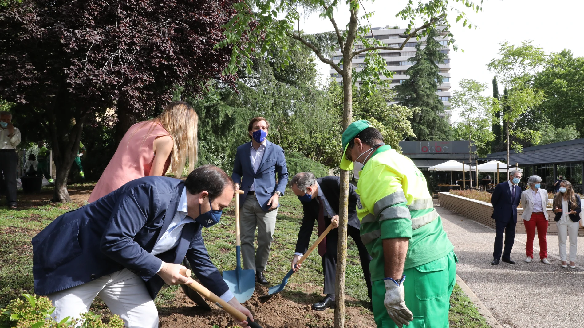 El delegado de Medio Ambiente y Movilidad, Borja Carabante; la concejala de Chamartín, Sonia Cea; y el alcalde de Madrid, José Luis Martínez-Almeida, durante la plantación de una encina donada por el despacho de abogados Uría Menéndez