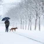 Se esperan nevadas al final del día en torno al extremo nordeste de Andalucía.