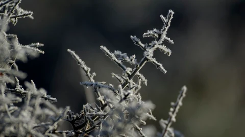 Las temperaturas gélidas helarán buena parte del interior peninsular