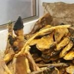 Intervenidos 63.100 envases de lomo y jamones con etiquetas manipuladas