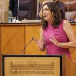 La presidenta del Grupo Parlamentario Popular, Loles López, hoy en la tribuna de la Cámara andaluza