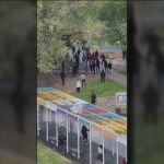 Pelea a machetazos en un parque de Alcorcón