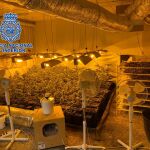 Operativo antidroga en la Comunidad de Madrid