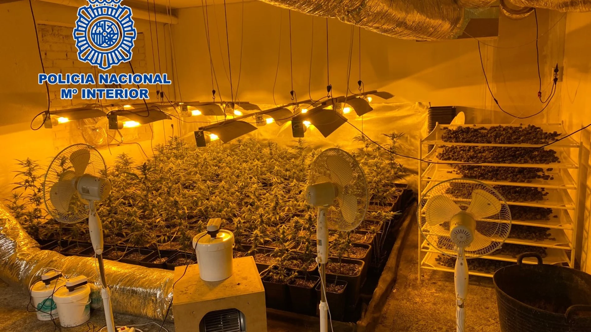 Operativo antidroga en la Comunidad de Madrid