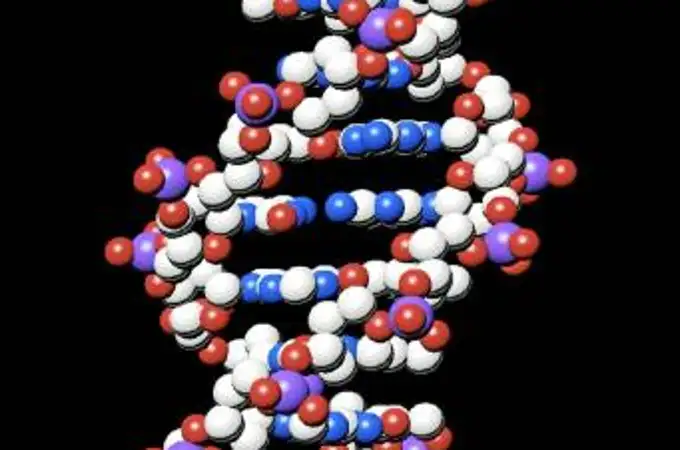 Se conmemoran 69 años del descubrimiento del ADN
