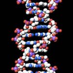 la representación de la estructura en doble hélice del ADN.