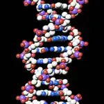  Se conmemoran 69 años del descubrimiento del ADN