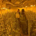 Agentes de la Guardia Civil en una plantación de marihuana