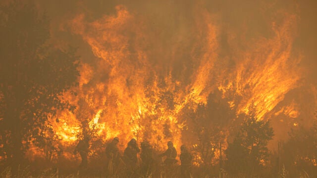 Incendios y ola de calor