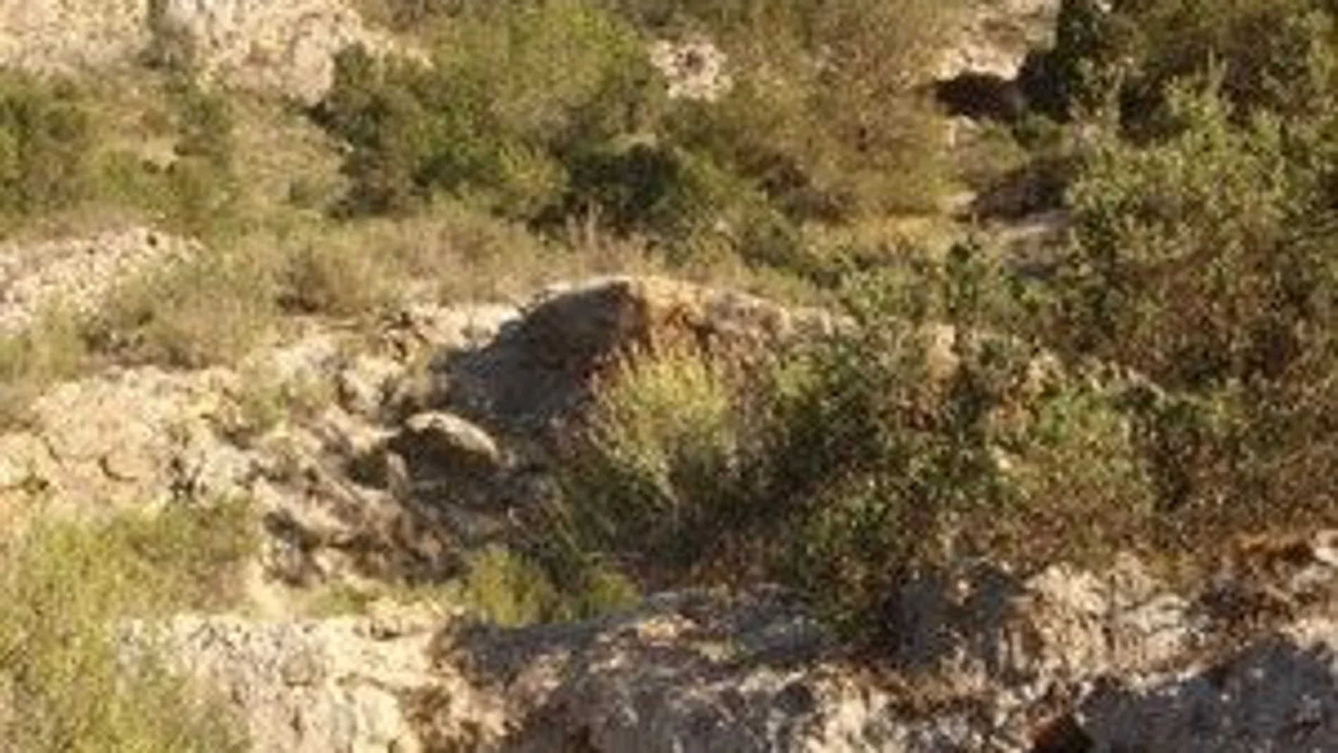 Imagen del Monte Miravete