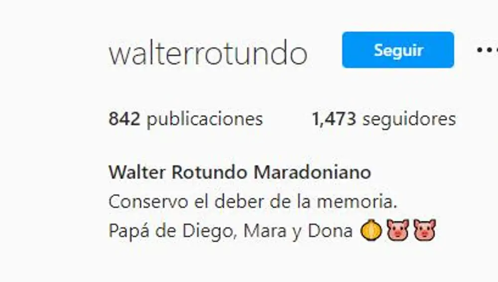 El perfil de Instagram de Walter Rotundo