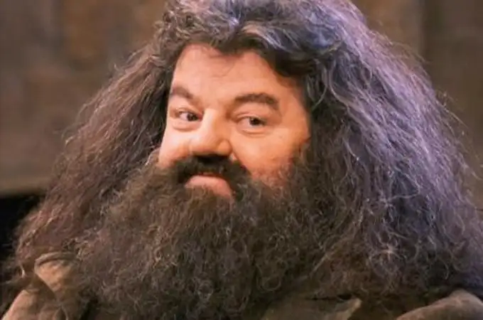 Muere a los 72 años Robbie Coltrane, Hagrid en la saga de “Harry Potter”