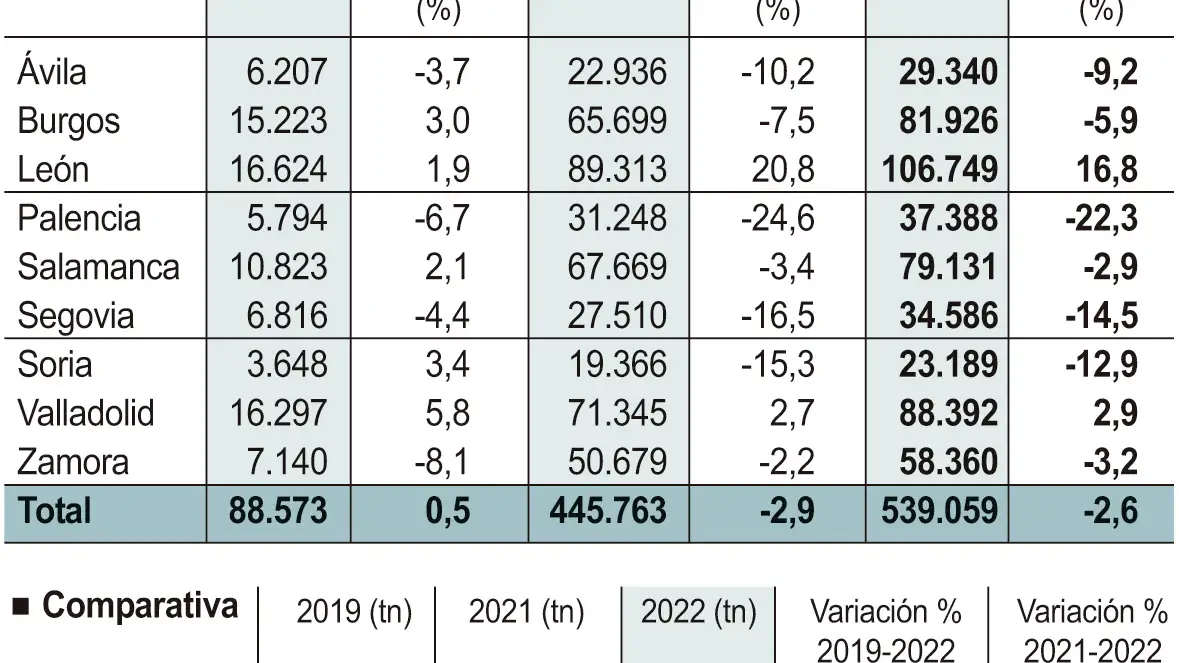 Consumo de carburante en Castilla y León