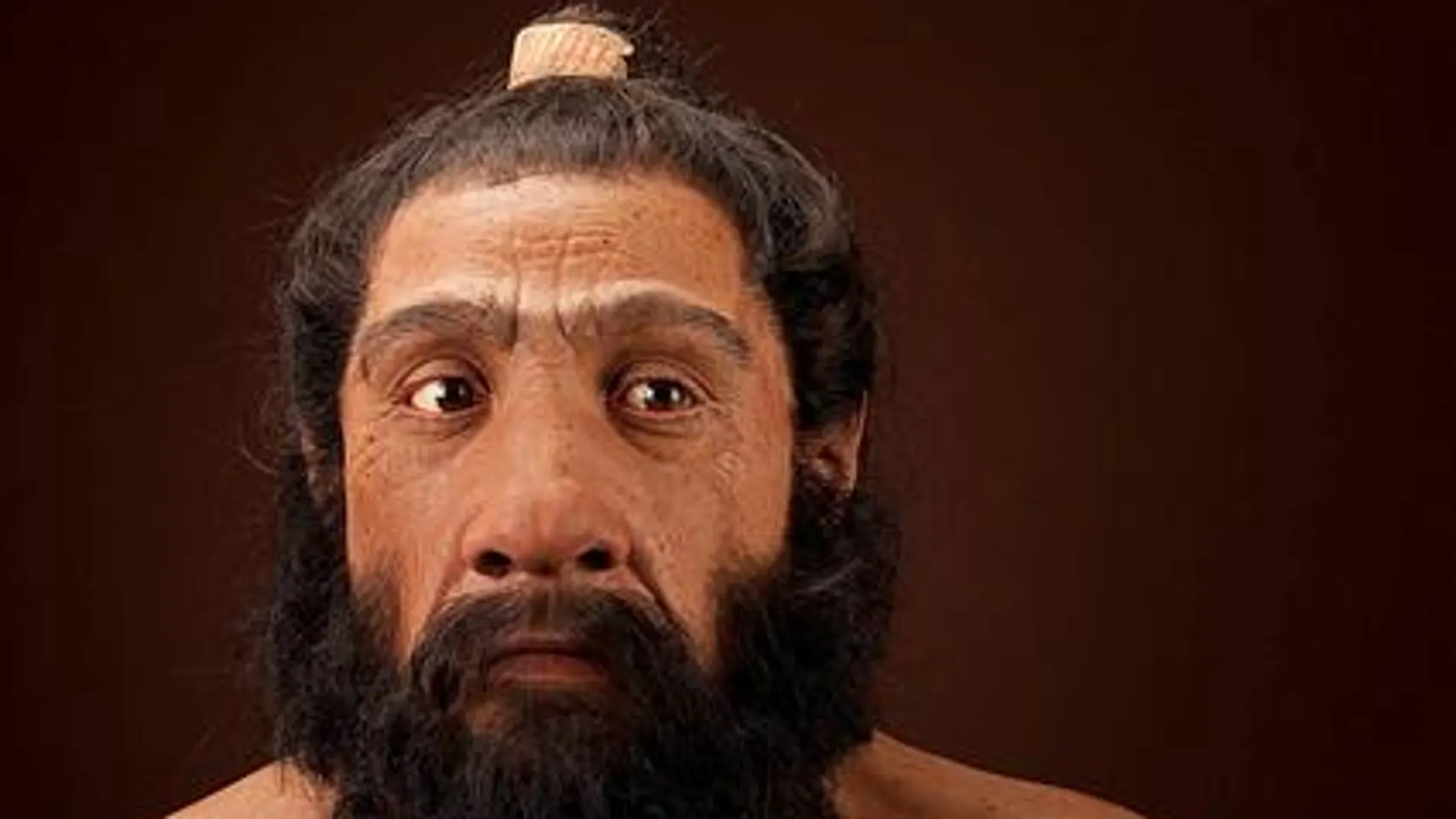 Reconstrucción de un neandertal macho adulto basado en los restos encontrados en Shanidar 1. Una obra de John Gurche