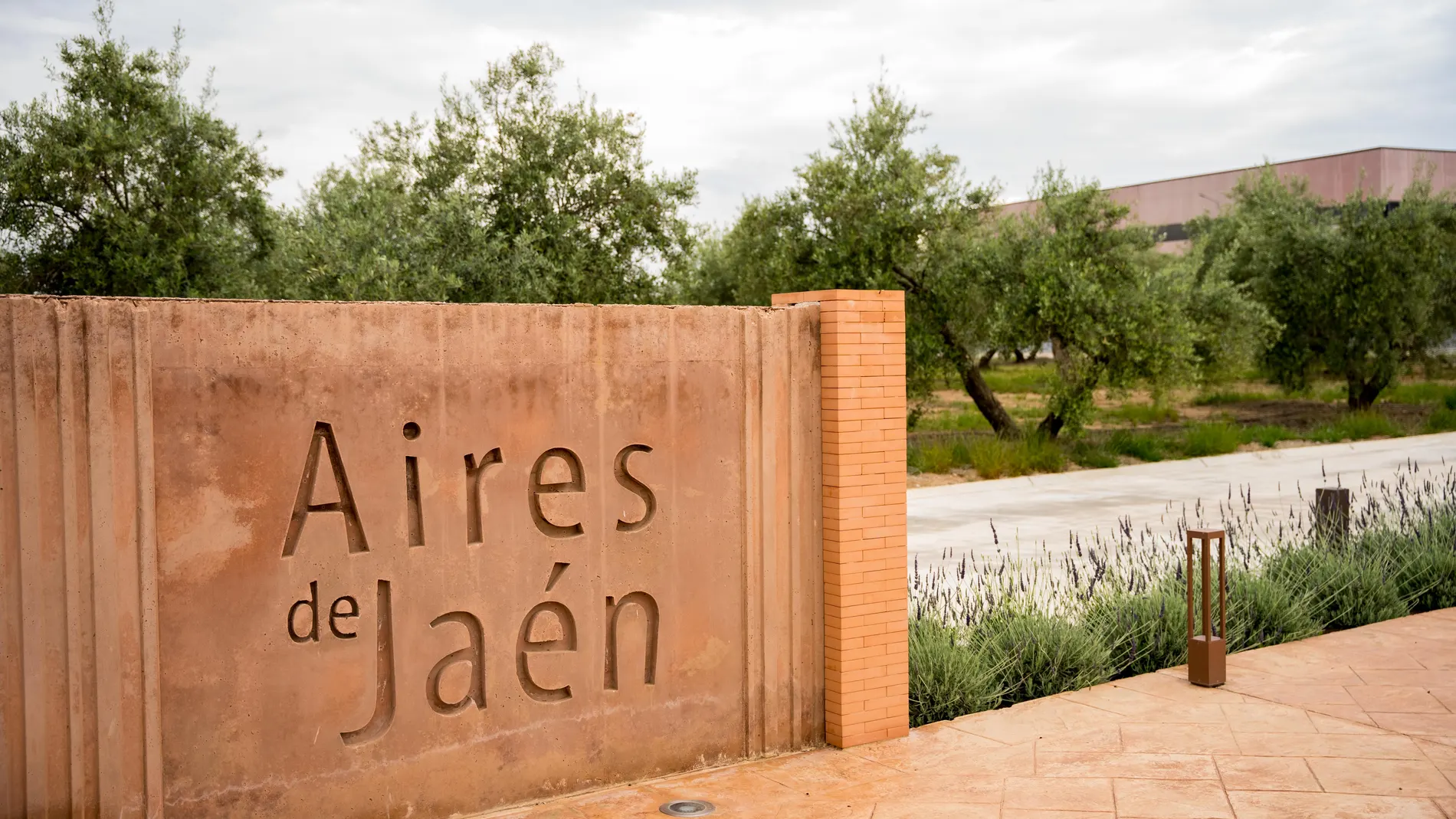 Aires de Jaén se ha convertido en una compañía que promueve el desarrollo local con la mirada puesta en el mundo.