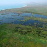 La Universitat de València lidera un estudio para conocer el papel de los humedales frente al cambio climático