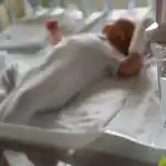 Bebé ingresado en un hospital