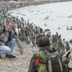 Juan Manuel Sánchez Guzmán, junto a una colonia de pingüinos
