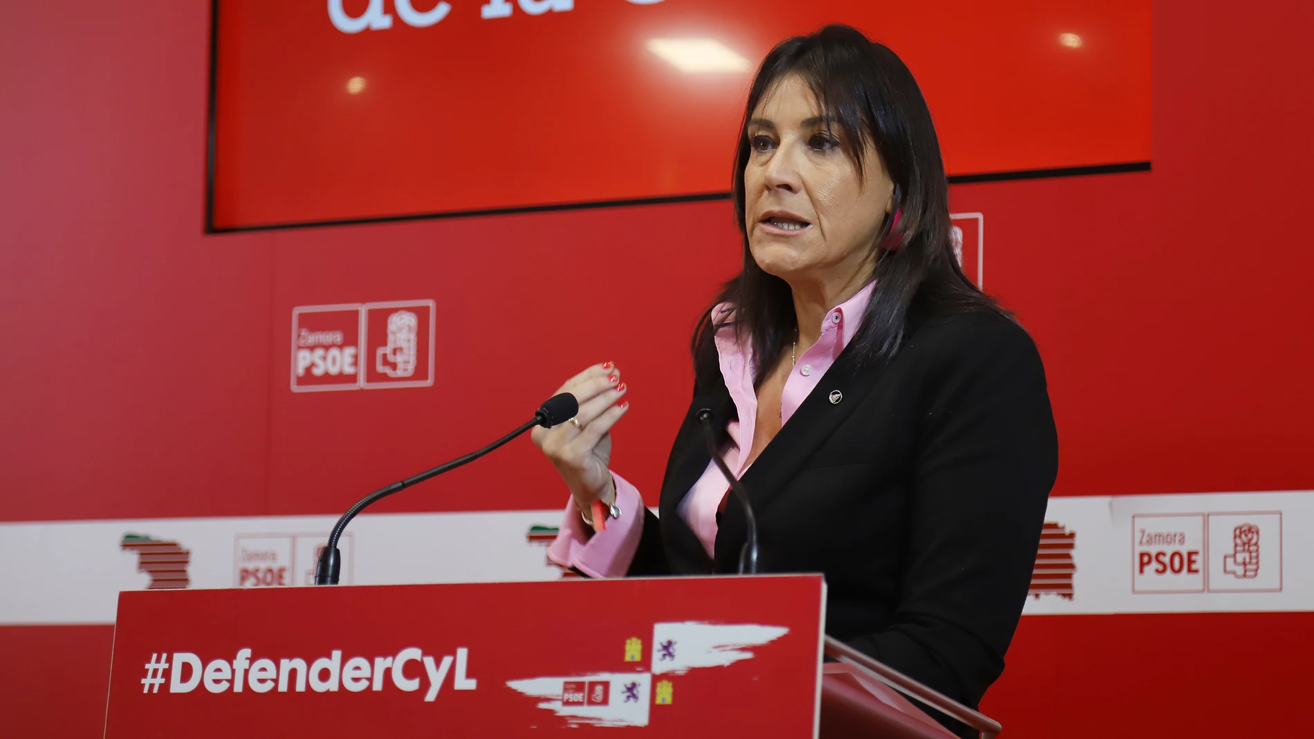 La secretaria de Organización del PSOECyL y procuradora por Zamora, Ana Sánchez, analiza temas de actualidad