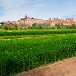 Tierras de cultivo en el Valle del Dades, Marruecos