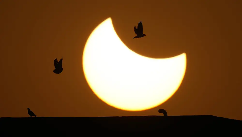 Las palomas sobrevuelan un eclipse solar parcial en Ahmedabad, India
