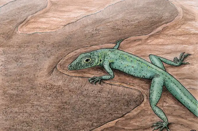 El fósil mejor conservado de un lagarto tiene 166 millones de años