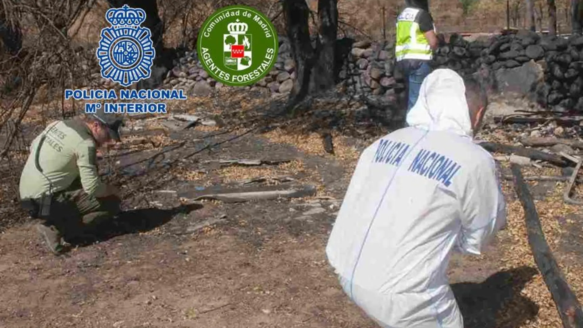 Agentes investigan sobre el terreno el origen de un incendio