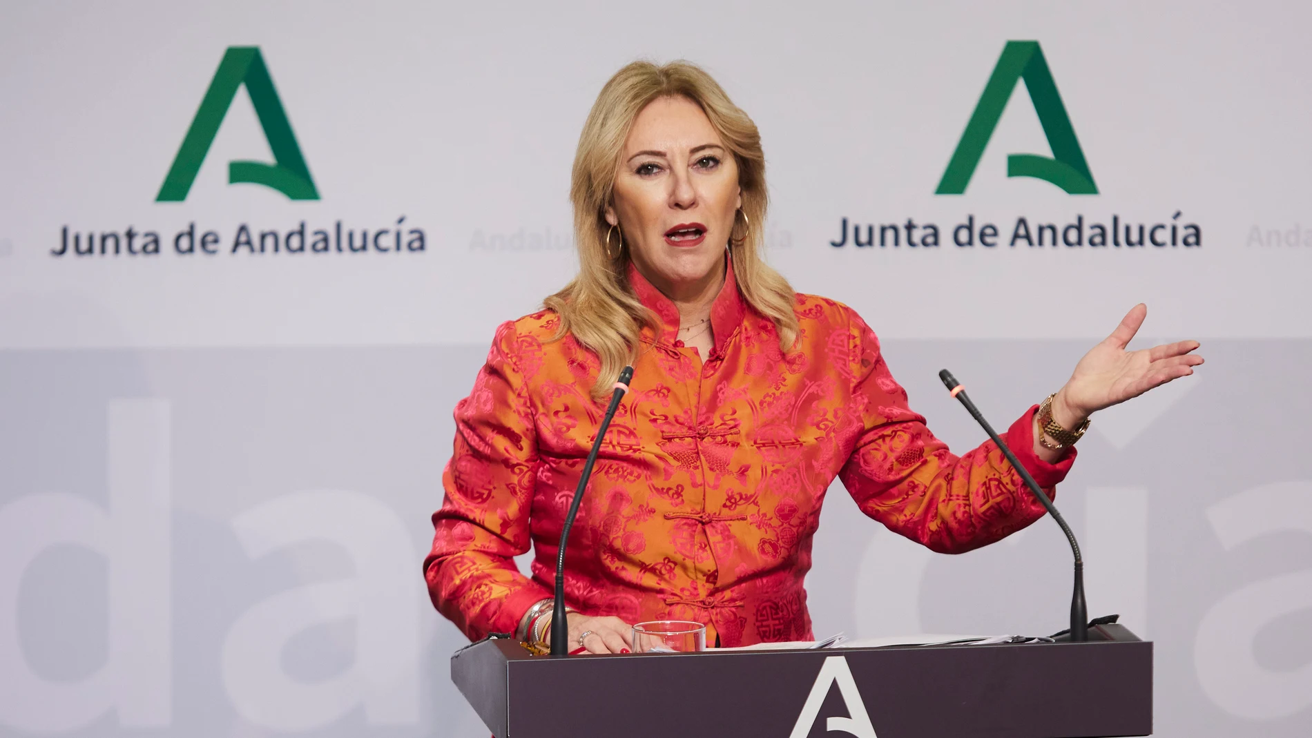 La consejera de Economía y Hacienda de la Junta de Andalucía, Carolina España