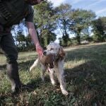 Un cazador recoge una perdiz con su perro de caza