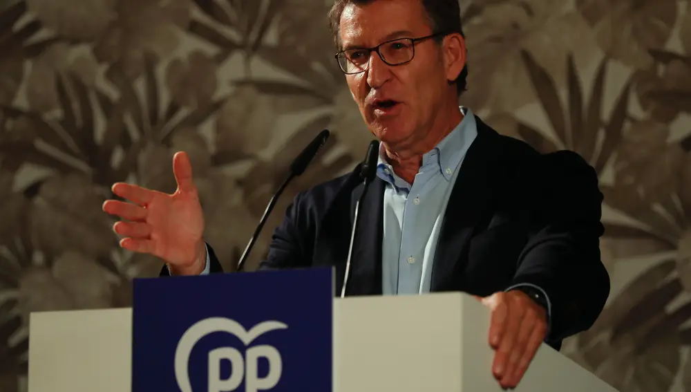 El presidente del PP, Alberto Núñez Feijóo, durante su discurso en la jornada de clausura de la tradicional pulpada del partido en Lugo, este sábado. EFE/ Eliseo Trigo
