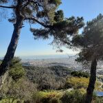 Vista de Barcelona desde lo alto de Collserola