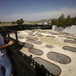 Vista de la necrópolis judía situada en la localidad cordobesa de Lucena