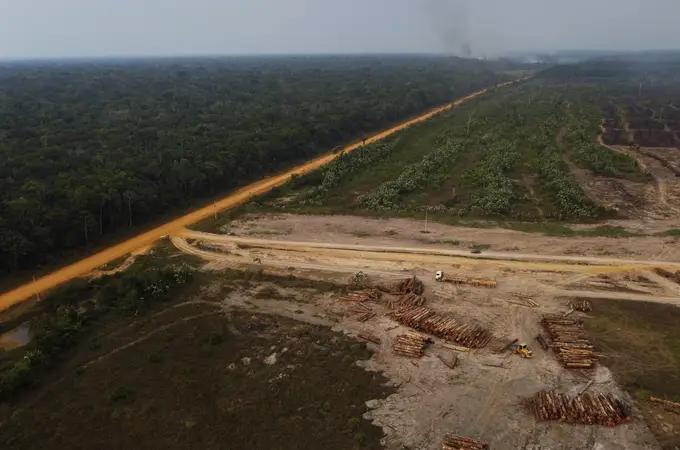 Alemania se abre a reactivar las ayudas contra la deforestación en Brasil