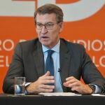 Feijóo en las grandes ligas