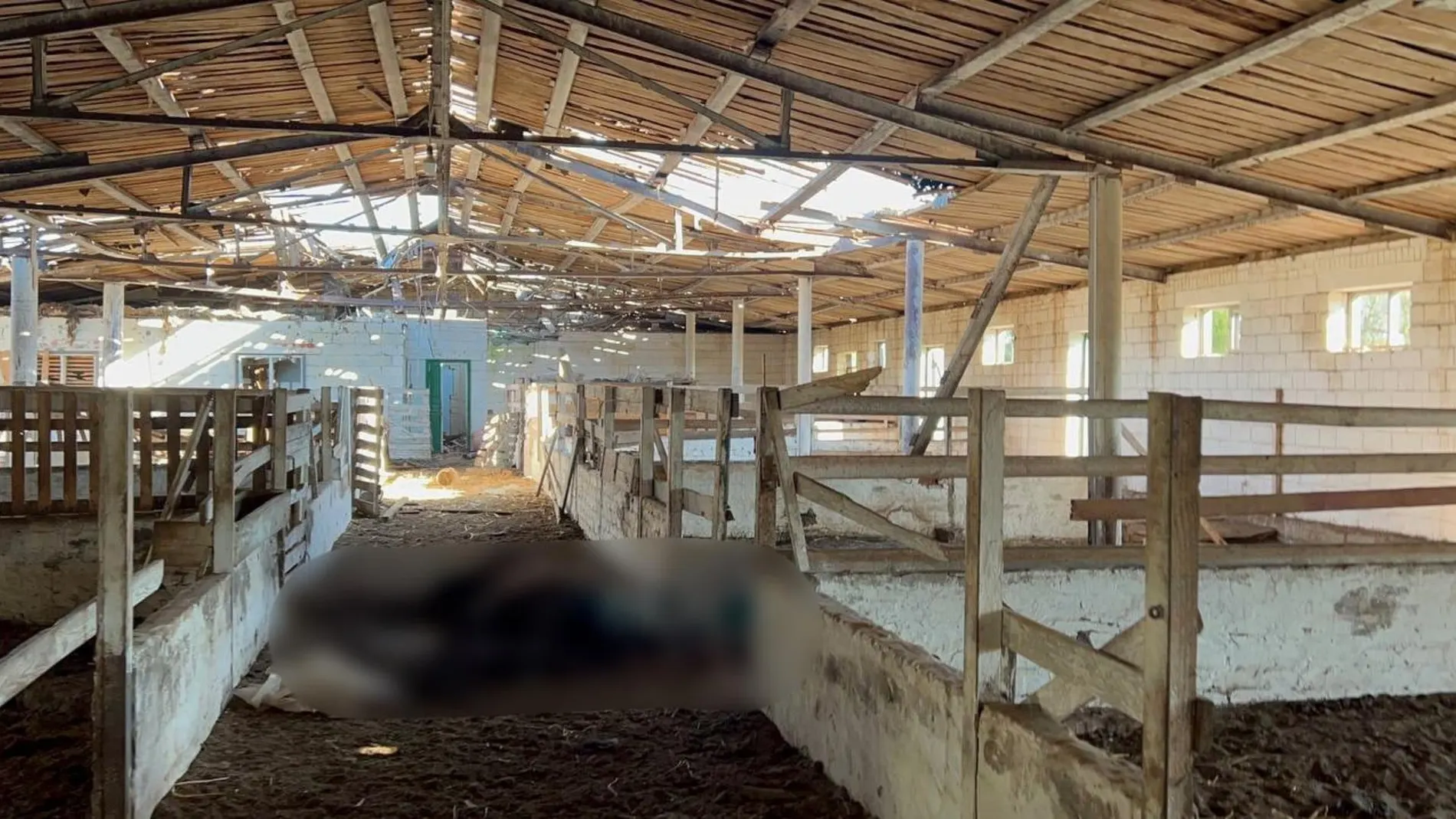 Animales muertos en el zoológico de de Yampil, en la región de Donetsk