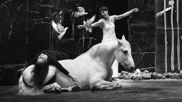 Txapakan, el caballo blanco que trotará junto a Camille Decourtye, será uno de los protagonistas de este montaje que también cuenta con una docena de palomas